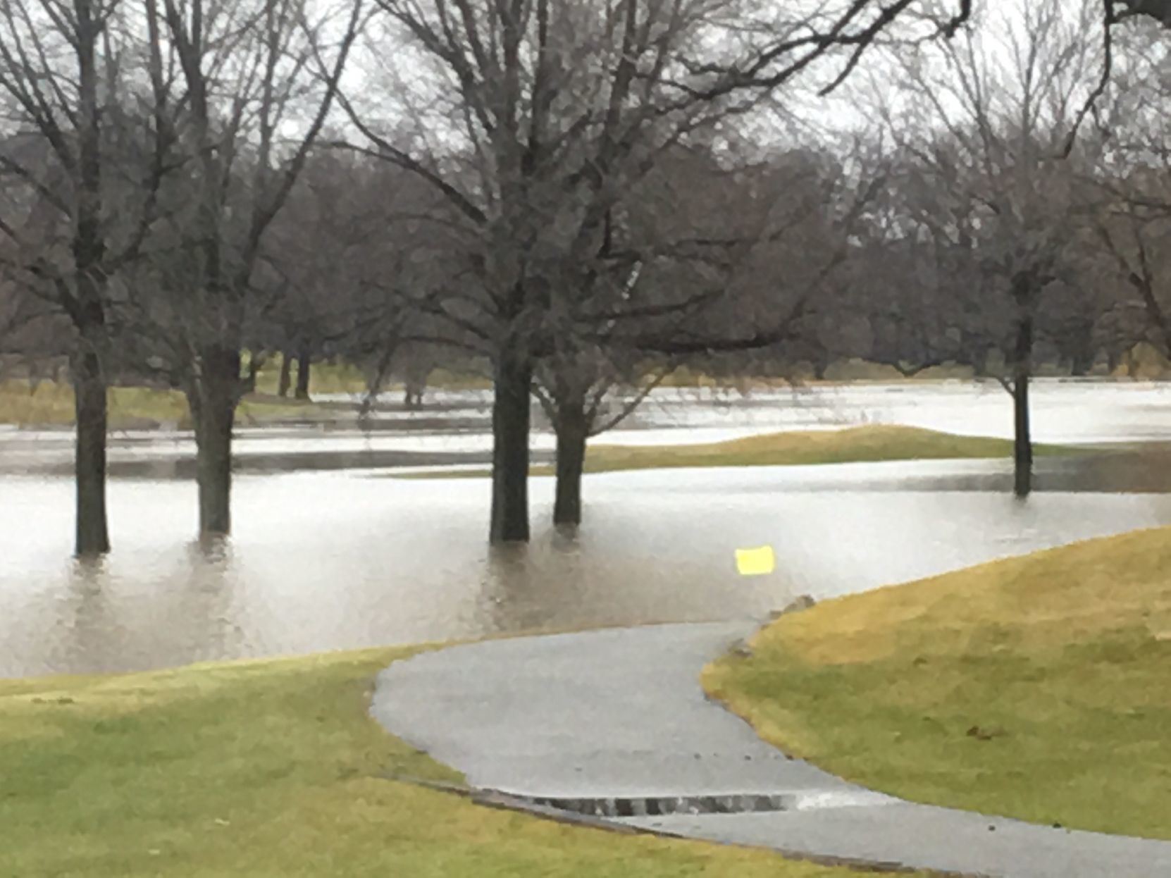 Flood
